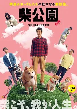 手机免费播放