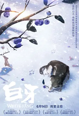 1080HD手机在线观看