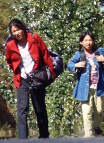 手机免费播放