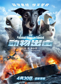 BD高清免费观看