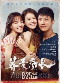 蓝光原盘在线观看